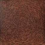 Laurent de Vismes - Aiguilles de pin - acrylique sur toile de lin - 100 x 100 cm - 2800 €