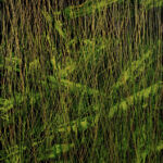 Laurent de Vismes - Bois vert - Huile sur bois - 40 x 30 cm - 800 €