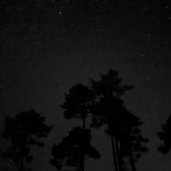 Les étoiles - Photographie tirée à 4 exemplaires - 40x50 cm - 350 €
