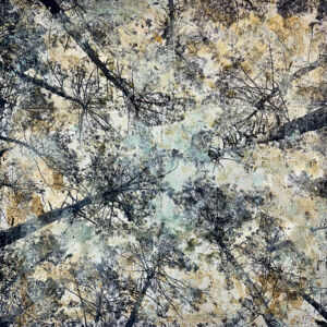 Zou - Canopée - Technique mixte sur toile - 80x80 cm - 2800€