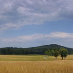 Olivier Pojzman - Gettysburg - papier - 25 x 80cm