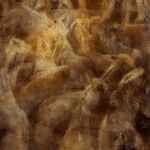 Alfons Alt - Heavy Horses Maurs - Pigments sur papier marouflé sur toile et châssis - 150 x 120 cm - 6000 €