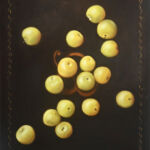 Jordan Nobuko Baker - Prunes pour B - huile sur toile - 50 x 40 cm